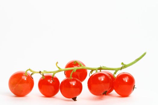 red currant isolated on white background