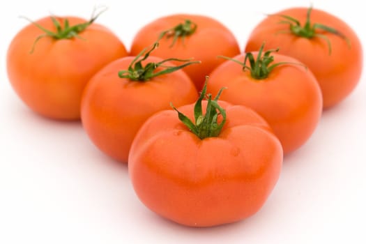 fresh red tomatoes on a white background