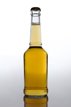 beer bottle on clean background