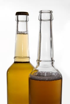 beer bottles on clean background