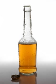 beer bottle on clean background