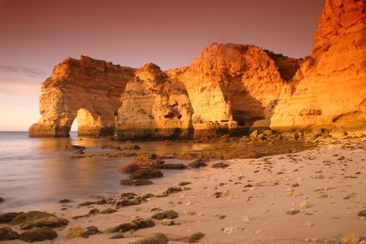 coast in the summer day