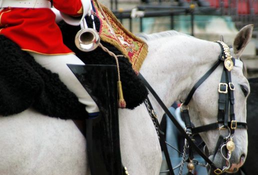 London guard on horse