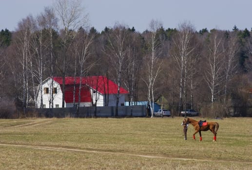 Rider talks by telephone near by horse on field beside home