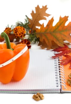 Notebook, pepper and measure tape on autumn background