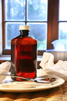 Cough syrup and other essentials for relief of a cold