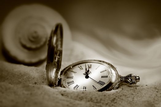 Watch lost in the sand with seashell behind/ Sepia tone