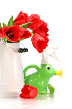 Spring tulips in vase with watering can