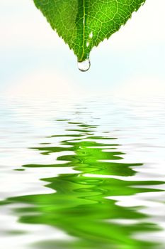 Green leaf with water droplet over water reflection