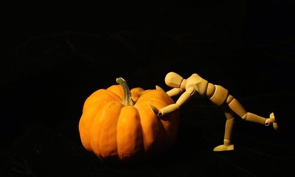 Moving the Great Pumpkin (Cucurbita moschata) from the pumpkin patch to isolation with a black background.  