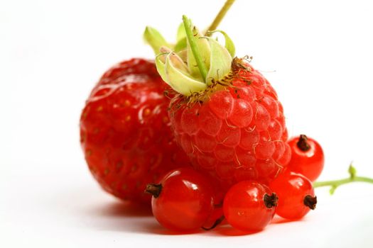 wild berry isolated on white background