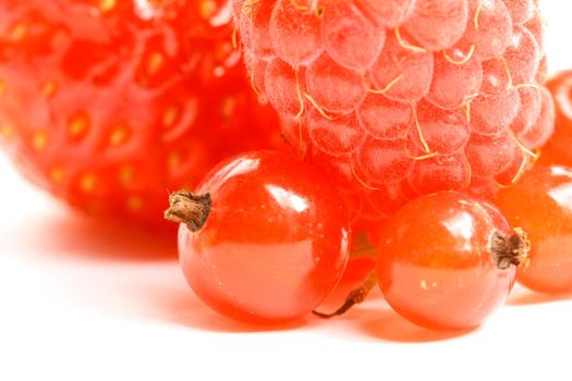 wild berry isolated on white background