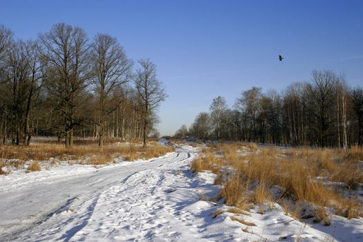 winter snow landscape with curves road in Russia.