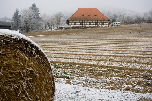 winter field