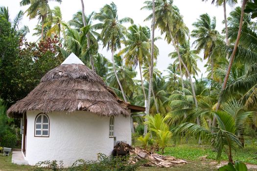 small house in palms wood