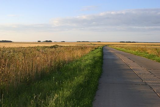 Beautiful evening. Rural landscape in Russia.