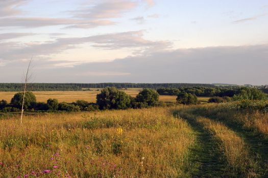 Beautiful evening. Rural landscape in Russia.