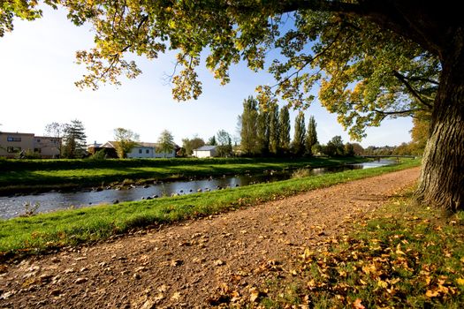 autumn alley with river