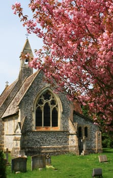 An Village Church Yard with the arched window of the church and bell tower visible. Pink Spring blossom on a tree to foreground with green grass of church yard to middle distance. Location in rural Wiltshire, England.