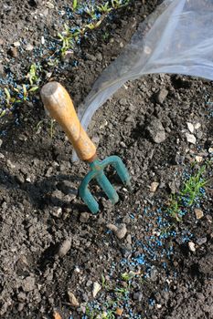 A hand held garden fork set in the ground next to a plastic pollytunnel set in a small urban garden. First shoots of a row of organically grown carrots to the foreground., and beetroot to top of image.