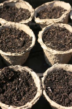 Detail of a set of recycled paper plant/seedling pots with compost inside, ready for planting seeds.