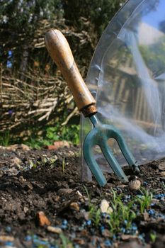 A hand held garden fork set in the ground next to a plastic pollytunnel set in a small urban garden. First shoots of a row of organically grown carrots to the foreground.