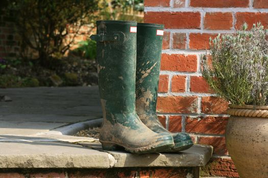 A pair of gardening boots set on a patio step next to a terracotta pot containing Thyme. Backdrop consists of the end of a bricked building with flower boarder to the background.