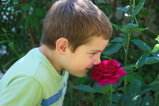 A portrait of a boy smiling and smelling a rose.