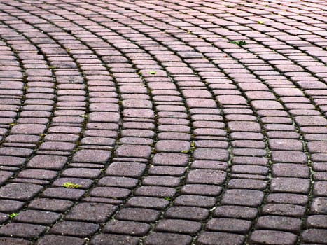 Brick paved walkway in a park.