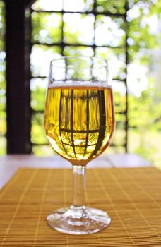 Glass of golden beer on the table on nature background