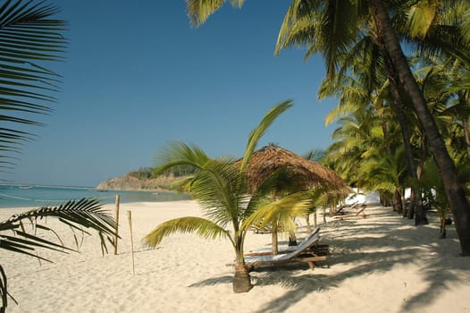 Sandy beach with hut and coconut tree on a sunny day