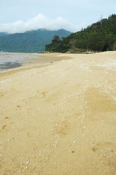 Soft golden sandy tropical beach