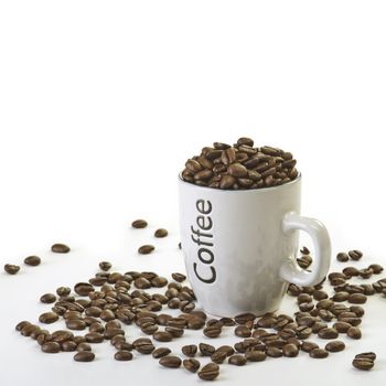 Cup full of Coffee beans with white background.