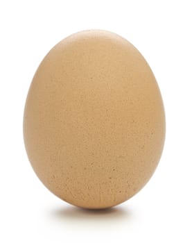 Single standing  Beige Egg on clear white  background.