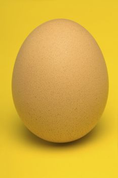 Single, Beige Egg with warm yellow background.