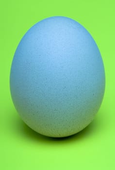 Single, Blue Egg with fresh green background.