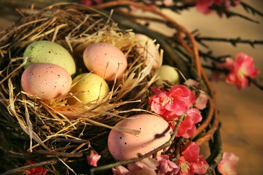 Pink and yellow Easter eggs in a bird nest