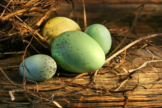 Easter eggs laying on barn wood in the barn