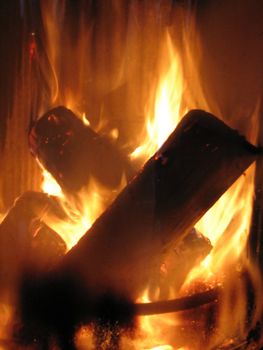 burning logs in an oven, ecologically friendly "green" heating