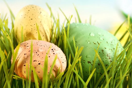 Three colored eggs hidden in the grass