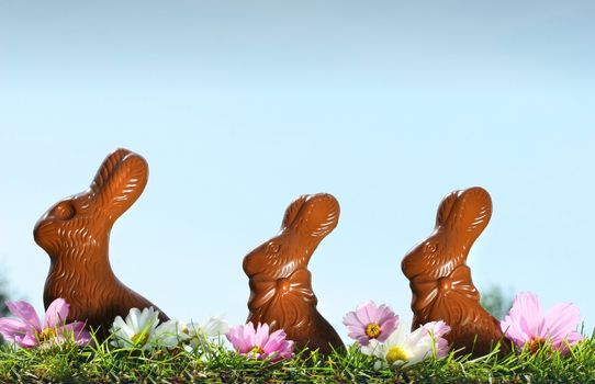 Chocolate rabbits in the grass with flowers