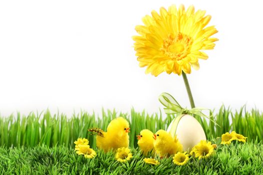 Little chicks on the green grass with flowers