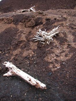 Peat, open-cast mining, Emsland, Germany