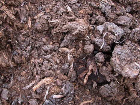 Peat, open-cast mining, Emsland, Germany, 2007