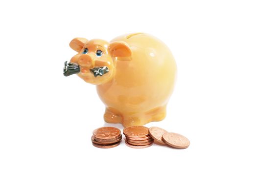 A pink pig piggy bank chewing paper monet isolated on a white background with a fallen stack of copper pennies to the foreground.