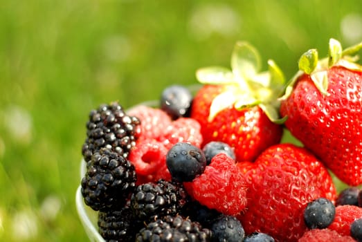 Bowl of mixed berries over a green summer background