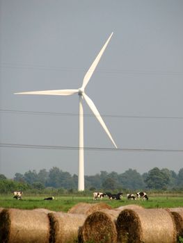 Windmills, northern Germany, in the marshes of the river Weser, 2007