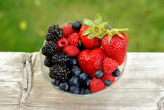 Bowl of mixed berries outdoors with a contrasting background