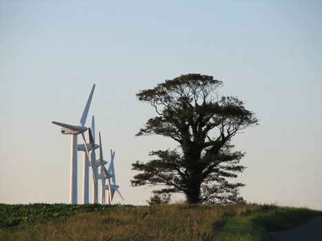 Windmills, Norfolk, England, 2007