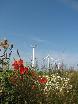 Windmills, Norfolk, England, 2007